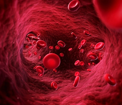 Boosts Blood Flow