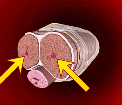 Targets Performance Tissue